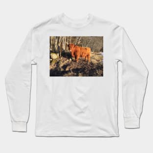 Scottish Highland Cattle Cow 2293 Long Sleeve T-Shirt